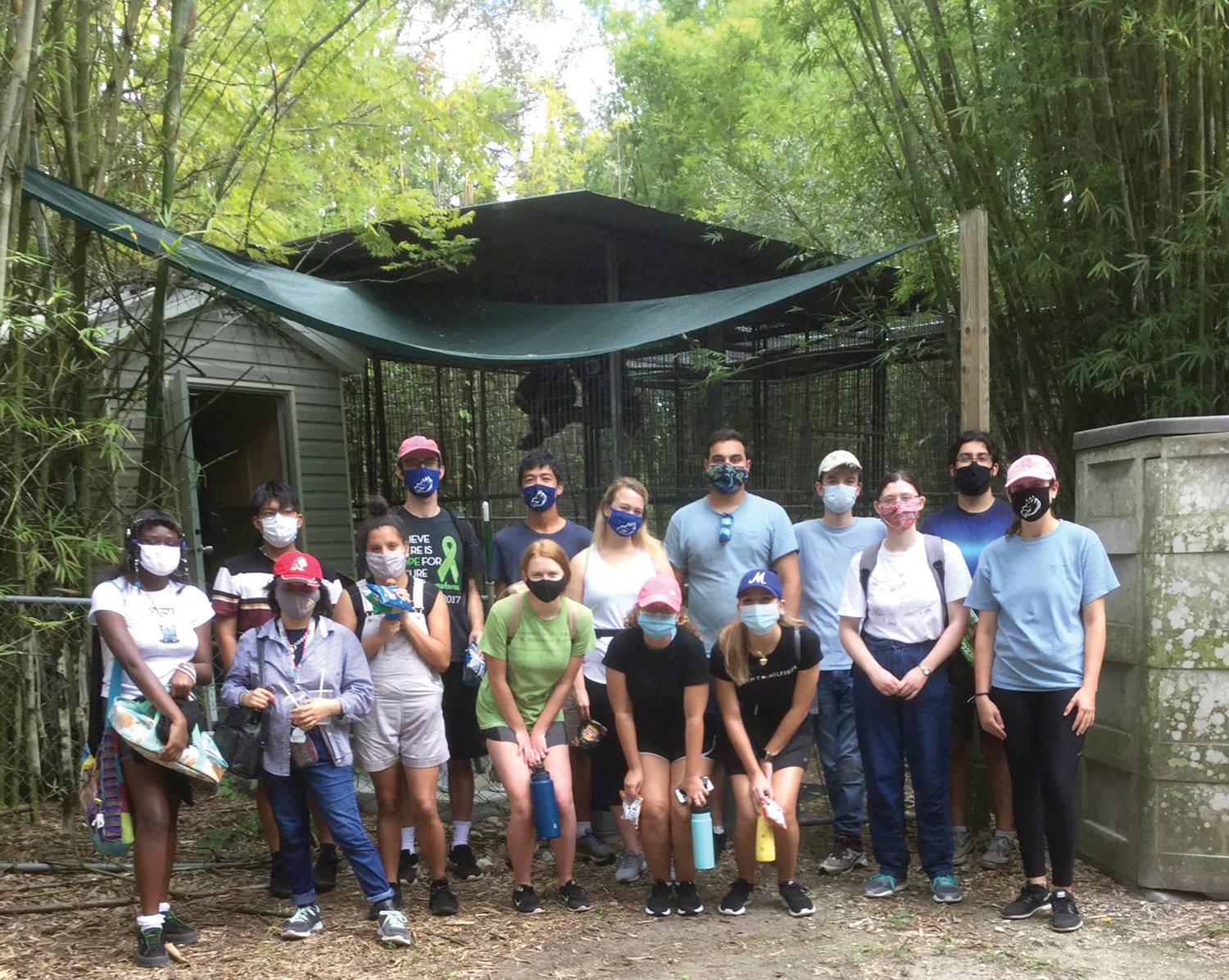 HENDRY COUNTY —  The students, all members of the FGCU Wildlife Club, got together for a group shot after a long, hard day of working to keep the primates housed there eating and dwelling comfortably. They wore masks and observed social distancing rules during their toils in the jungle.